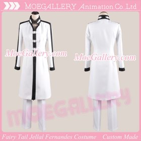 Fairy Tail Jellal Fernandes Cosplay Costume